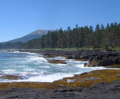 Looking west from Shoals Point